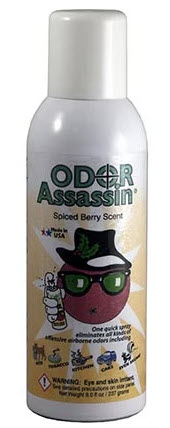 Odor Assassin Non-Aerosol Pump Spray – Spiced Berry